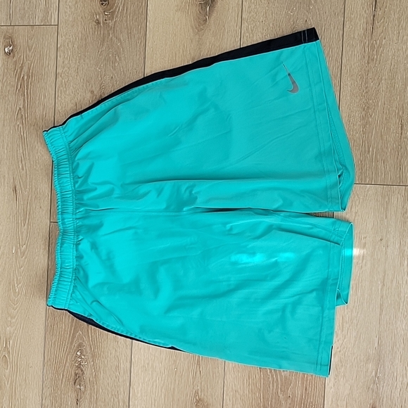Nike Shorts Mens Nike Dryfit Shorts Size Large Poshmark